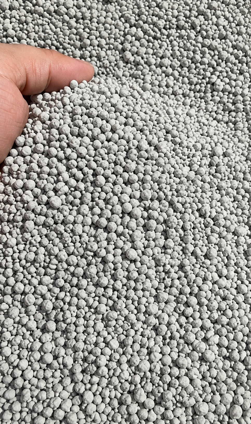 Суперфосфат потрійний TSP P46% NCIC у руці
