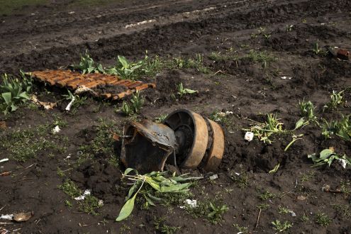невірно підібрані добрива